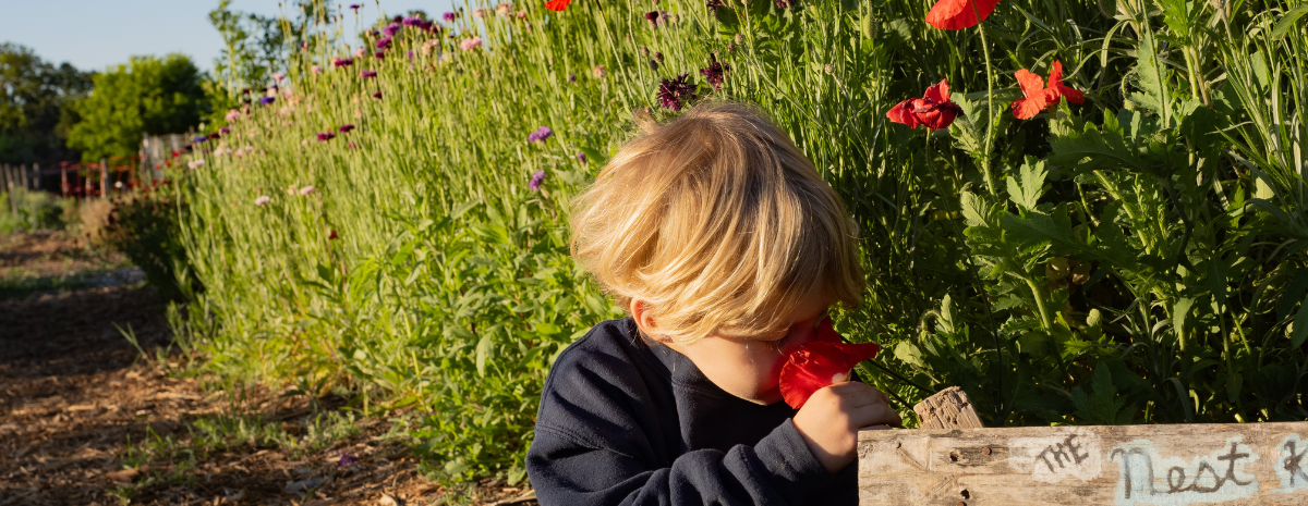 The Nest Nature School Waitlist